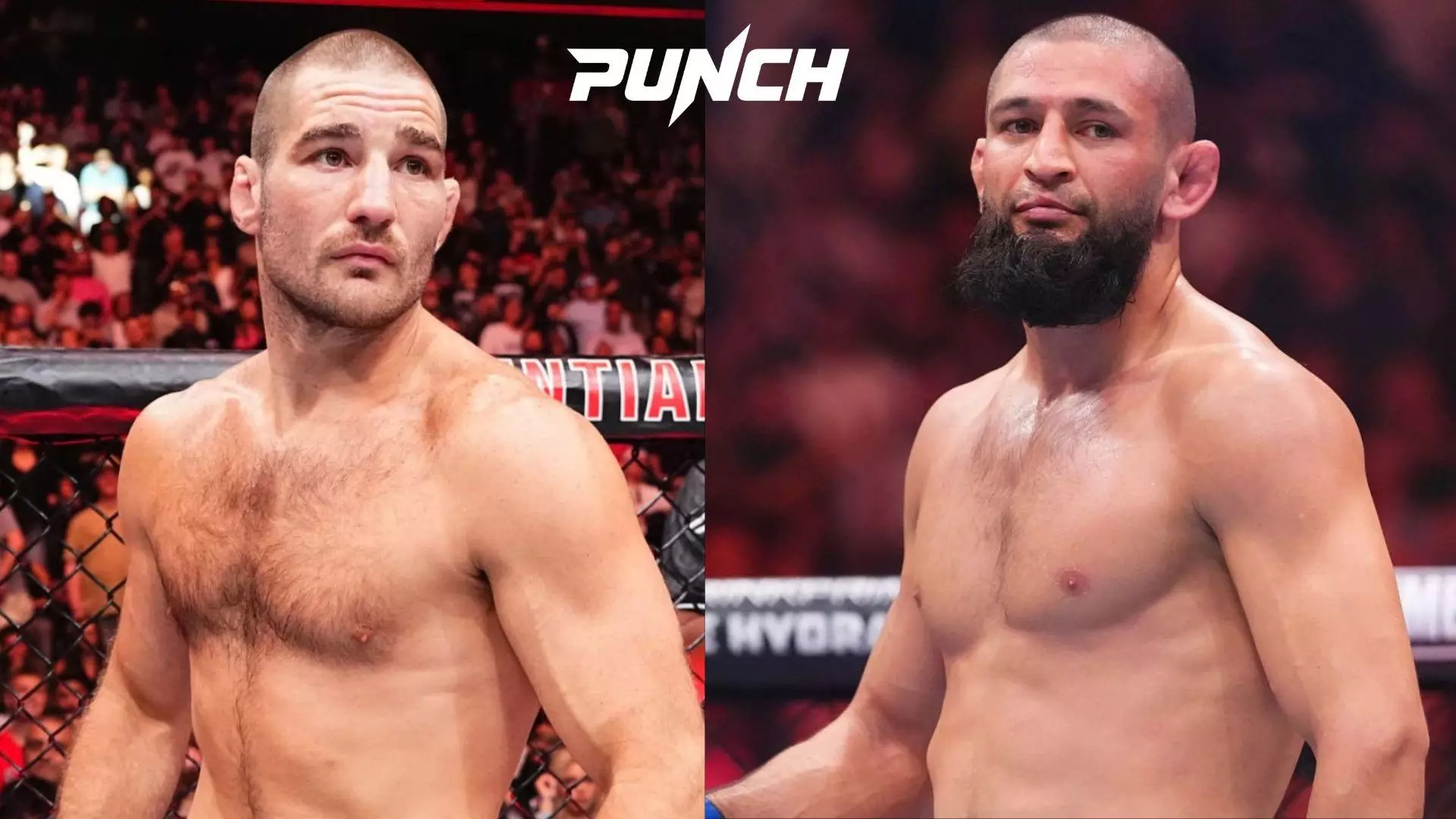 Бой Чимаева и Стрикленда может возглавить UFC 328