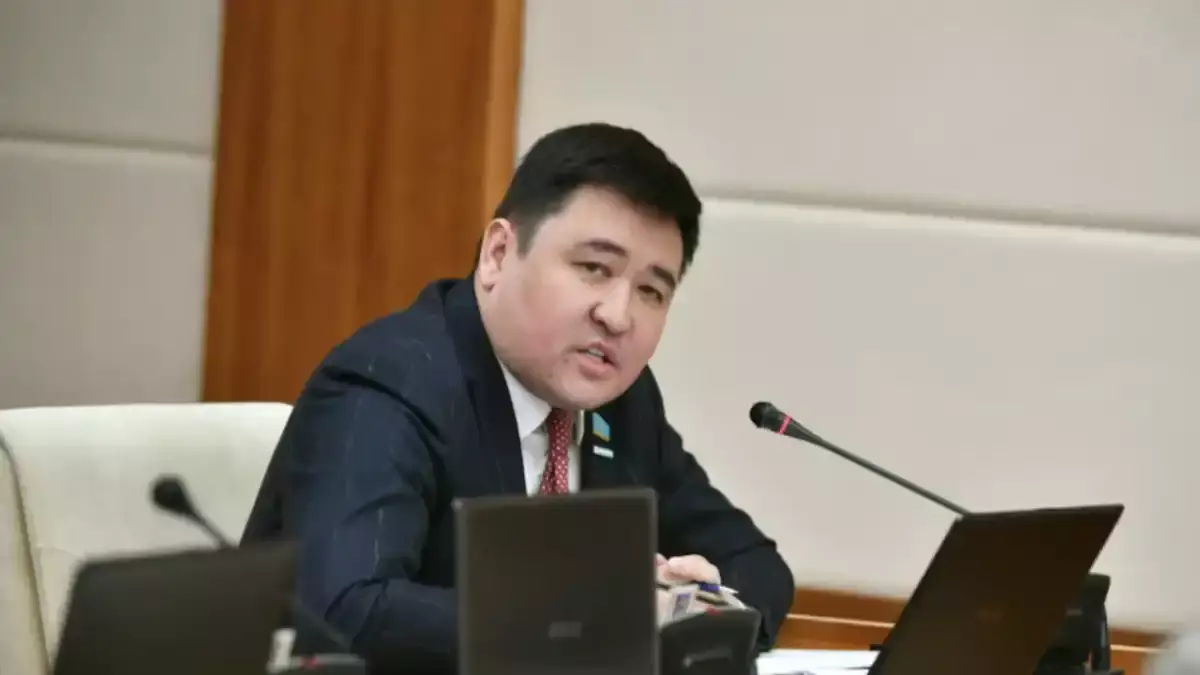 Жаңа Конституция: Депутат Нартай Аралбайұлы пікір білдірді