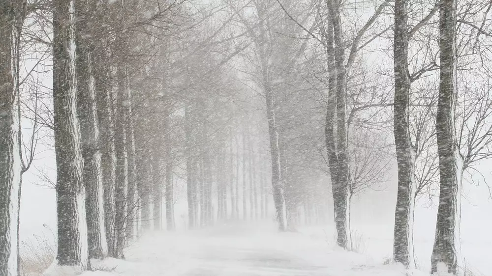 Погода 12 марта в Казахстане: синоптики объявили штормовые предупреждения