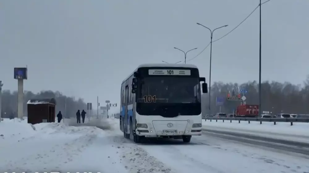 Жители СКО требуют наладить автобусное сообщение с Петропавловском