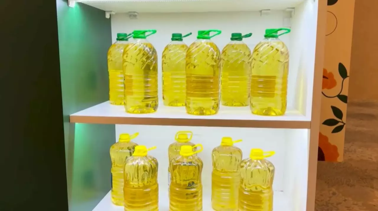 Елде майлы дақылдардың 90 пайызы өңделеді