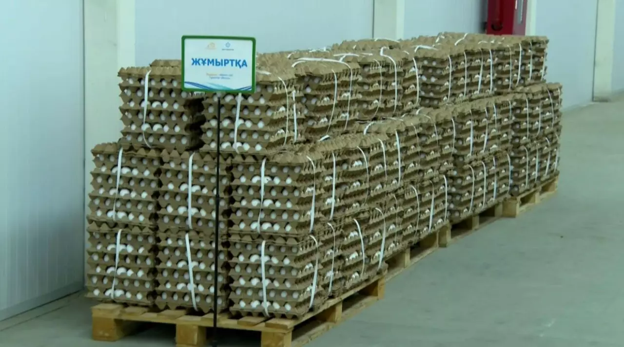 Түркістан қажетті азық-түлікті өзі өндіреді