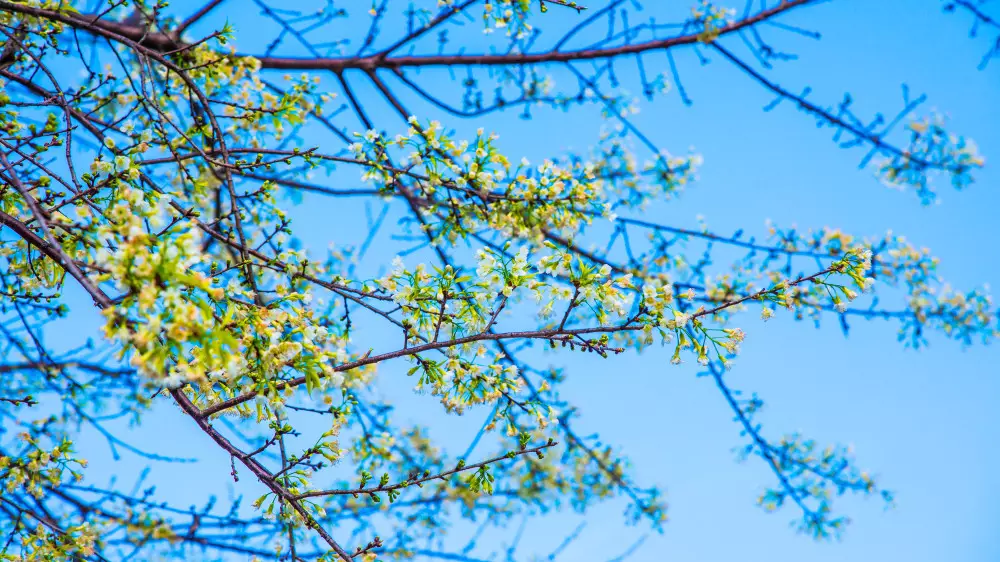 Қазақстанда қашан күн жылынады?