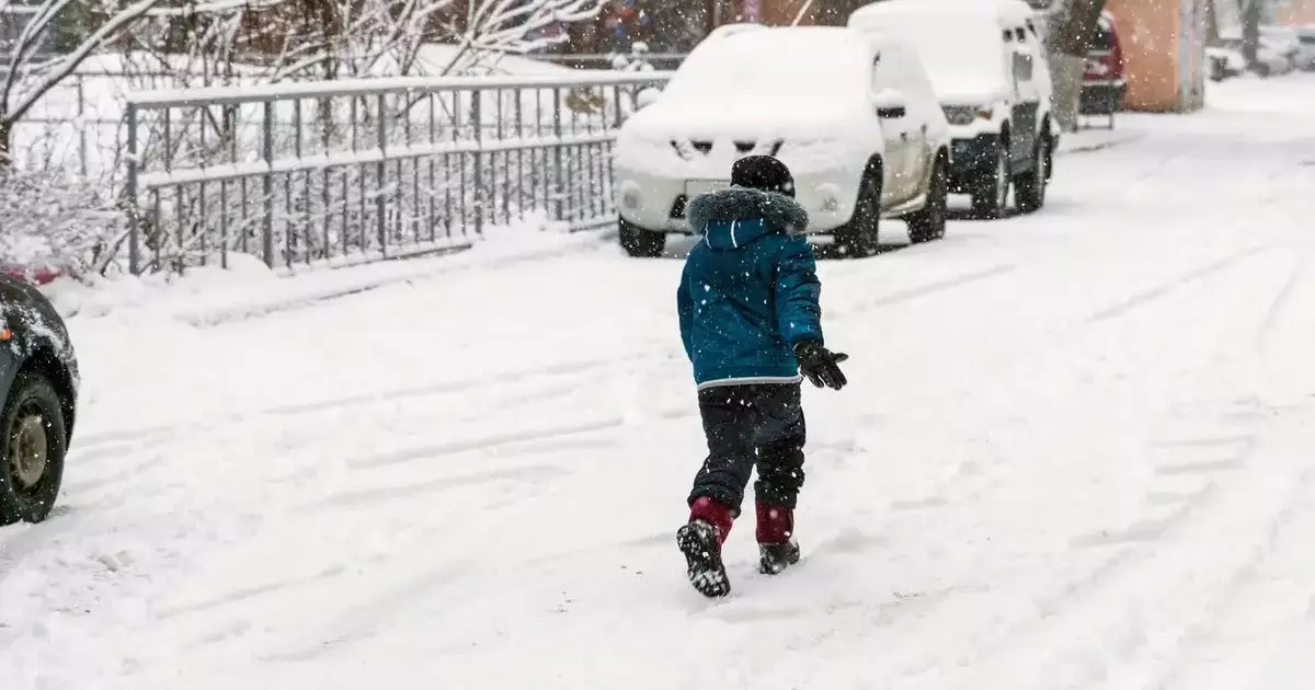  Астанада оқушылар мен колледж студенттері қашықтан оқиды 