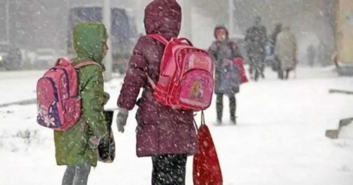  Астанада екінші ауысым оқушылары да онлайн оқиды 