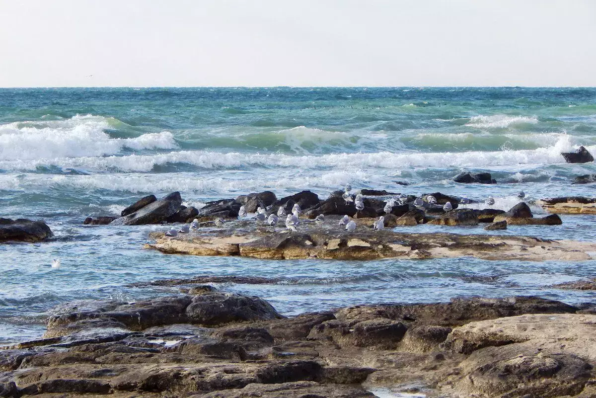 Казахстан, Азербайджан и Узбекистан проложат кабель по дну Каспия - новости на Lada.kz 12.03.2026