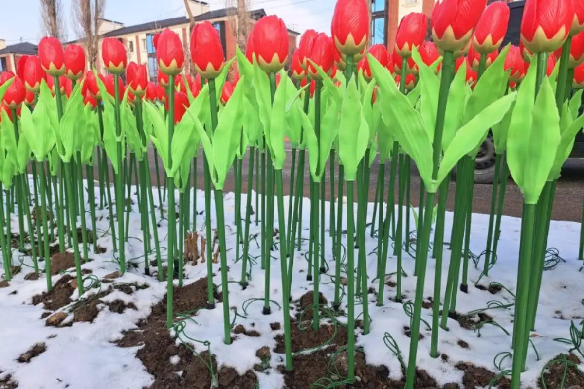 10 тысяч пластиковых тюльпанов «высадили» в Таразе
