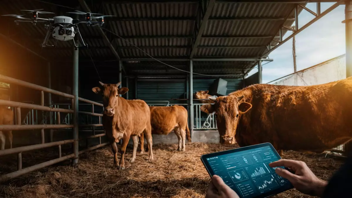 Егінді дрон бақылап, сиырды робот сауатын фермалар пайда болды