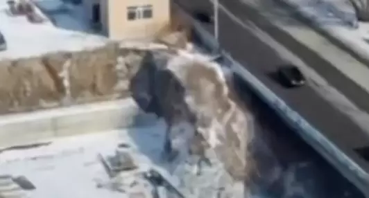 Семейде әйел көпірден секіріп мерт болды