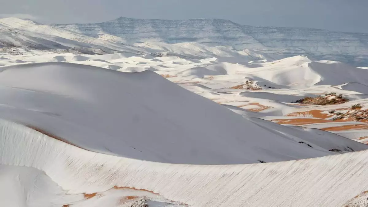 Сахарада қар жауды: Әлемдегі ең ыстық шөл әп-сәтте аппақ қарға оранды