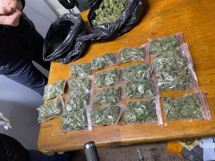 Канал поставки наркотиков из Жамбылской области в Алматы и Астану пресекли полицейские