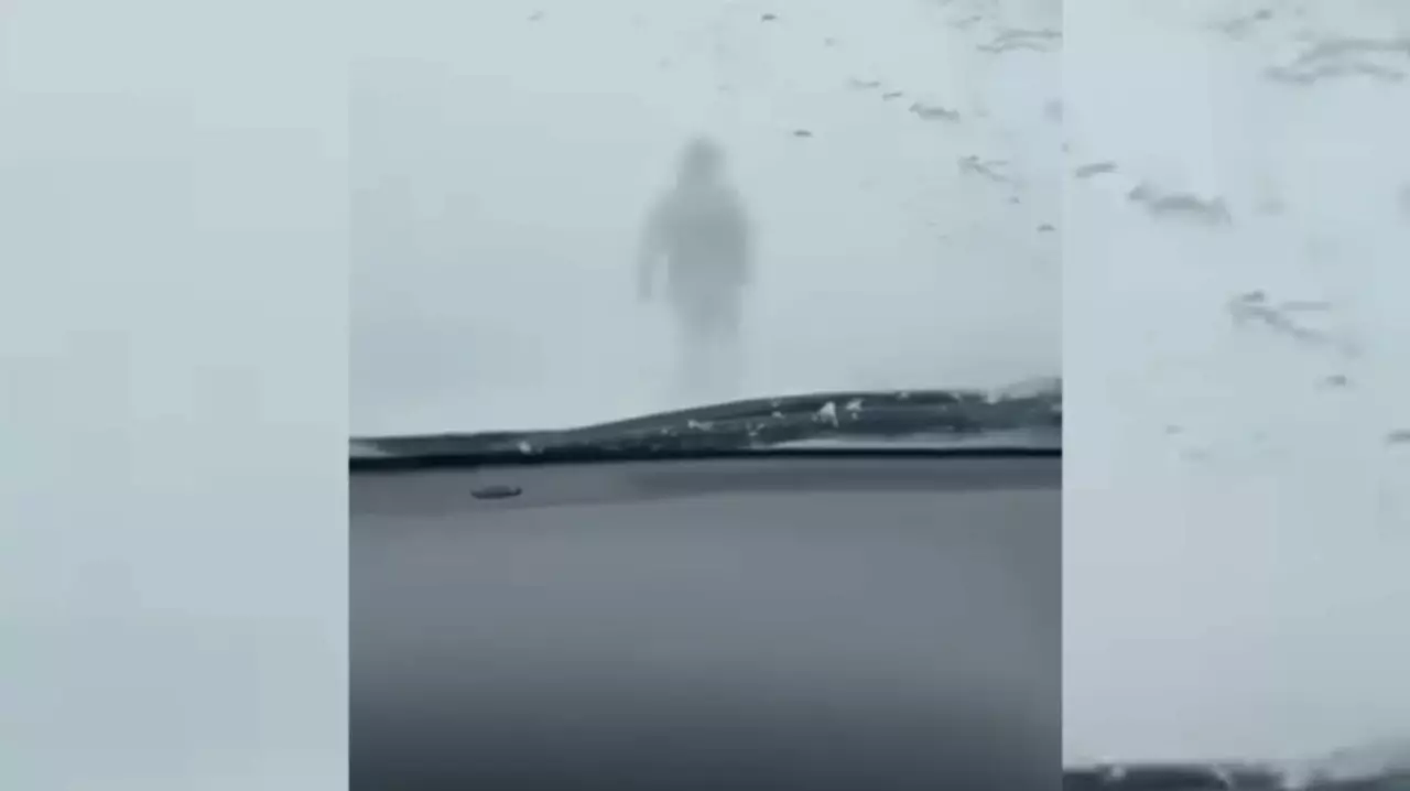 Павлодар облысында мұғалім боранда жаяу жүріп көліктерге жол көрсетті