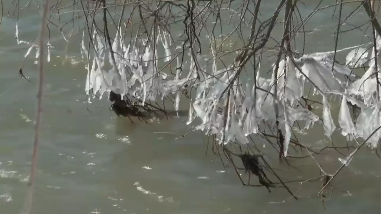 Шымкентте Бадам өзенінің бөгеті тағы бұзылды