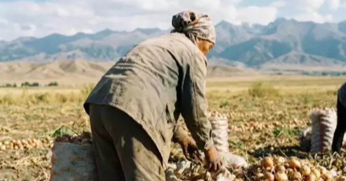  `Жерлеп қойған әйел бір айдан кейін тірі келді`: Жамбыл облысындағы таңғаларлық оқиға 