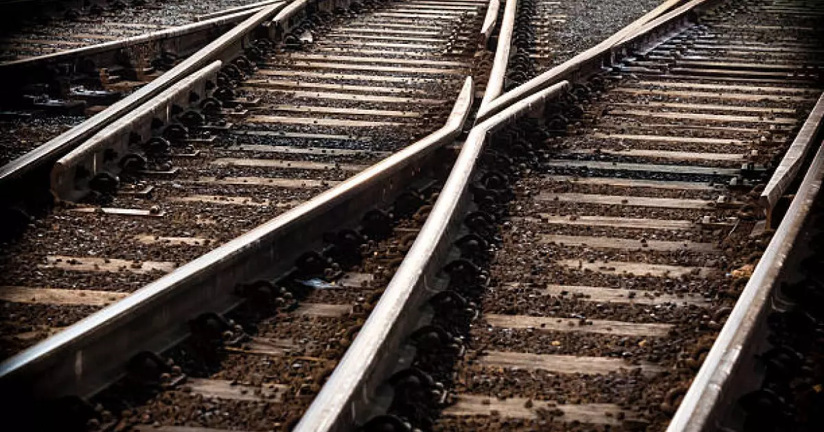  Ақмола облысында жүк пойызы 11 жылқыны басып кетті 