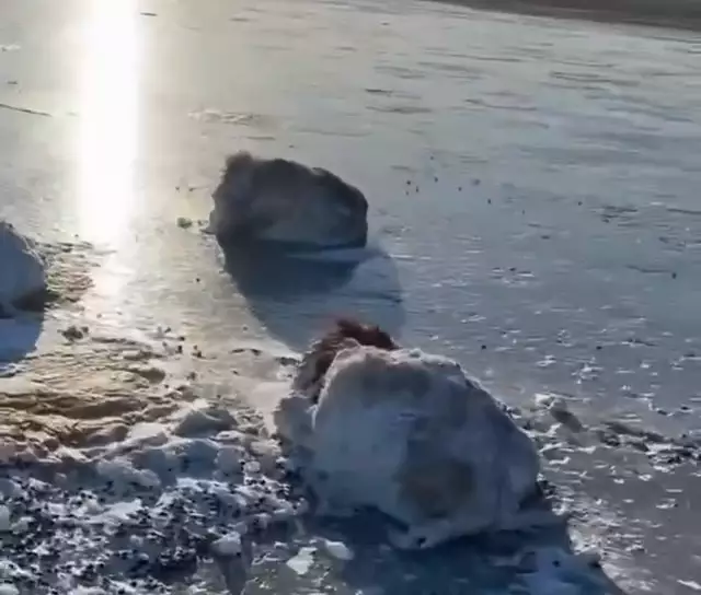 Павлодарда қырылған мал: Баянауылда ондаған қой далада қатып өлді