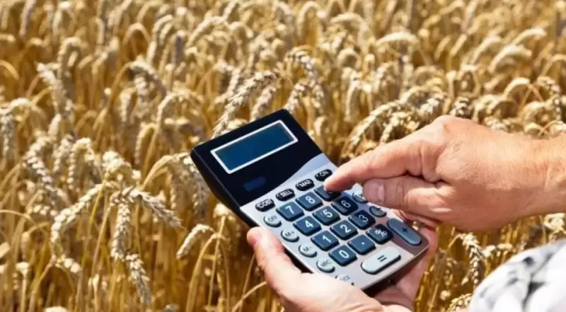 Хищение субсидий на 20 млн тенге в Туркестанской области: суд вынес приговор