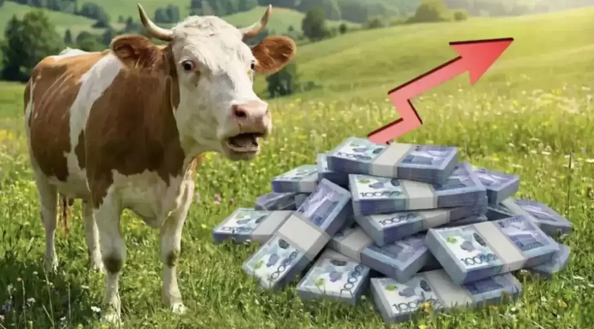 Түркістан облысында субсидияның ақшасын жымқырған адам сотталды