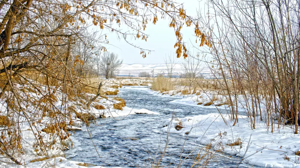 Тепло до 15 градусов идёт в Казахстан