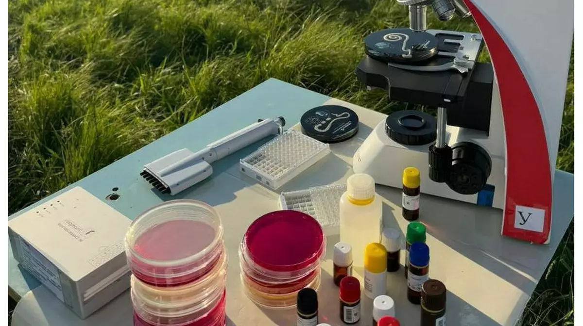 Каждый восьмой продукт в Казахстане не соответствует требованиям: что подделывают чаще всего