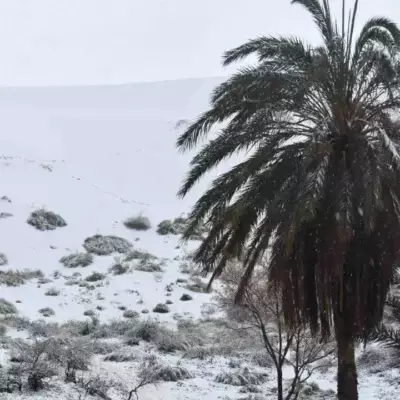 Белая Сахара: пустыню накрыл редкий снегопад