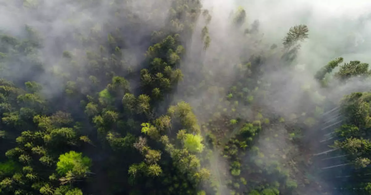   Республика бойынша тұман болуы ықтимал   