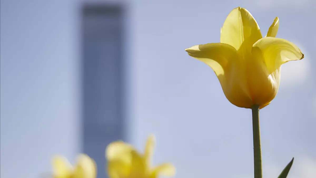 Когда в Казахстан придет настоящее тепло: прогноз синоптиков