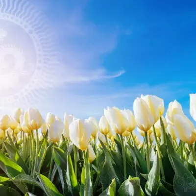 Сколько дней будут отдыхать казахстанцы на Наурыз