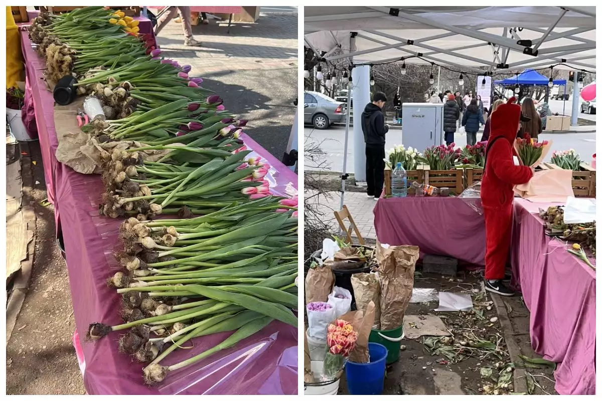 "4 миллион теңге күйіп кетті": Мерекеде қызғалдақ сатқан қазақстандық кәсіпкерлер биыл шығынға батқан