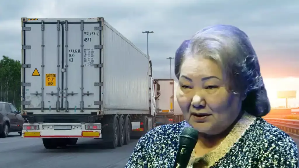 Әнипа Назарбаеваға қатысты компания өзін банкрот деп тануды сұрады