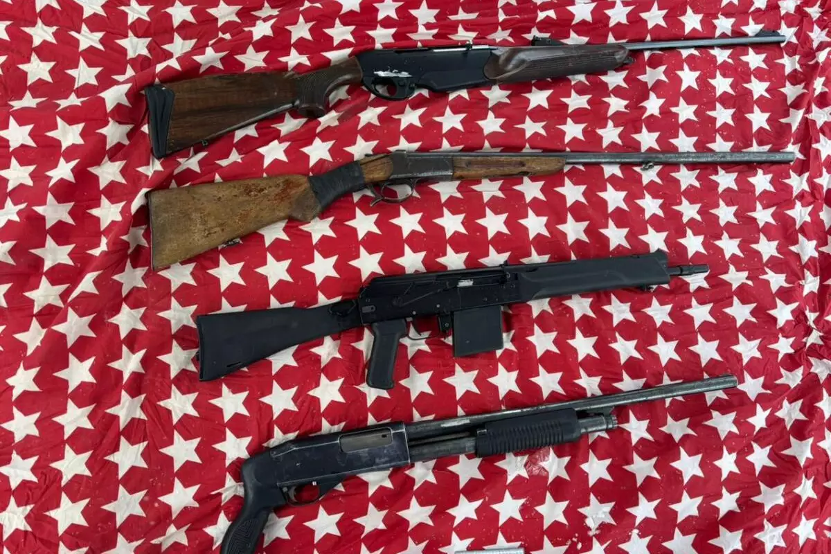 Тайники у рек и на окраинах городов: МВД изымает криминальное оружие по всей стране