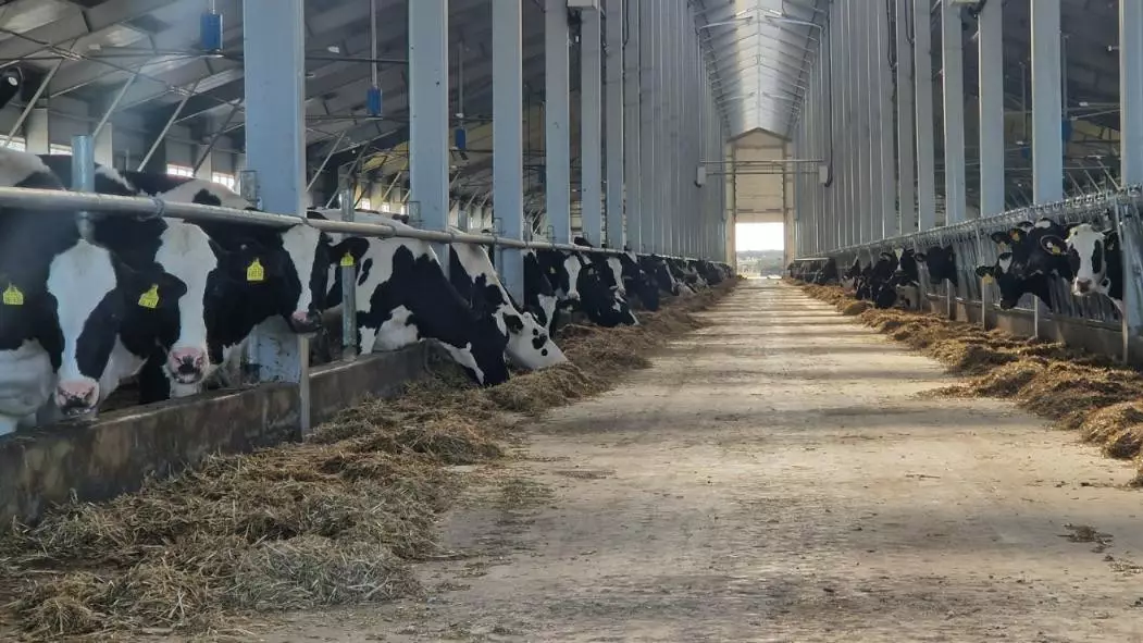 МСХ РК запустило льготное кредитование животноводства под 6%