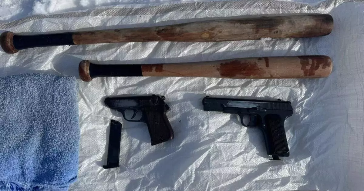  Жыл басынан бері заңсыз айналымнан 580 қару тәркіленді 