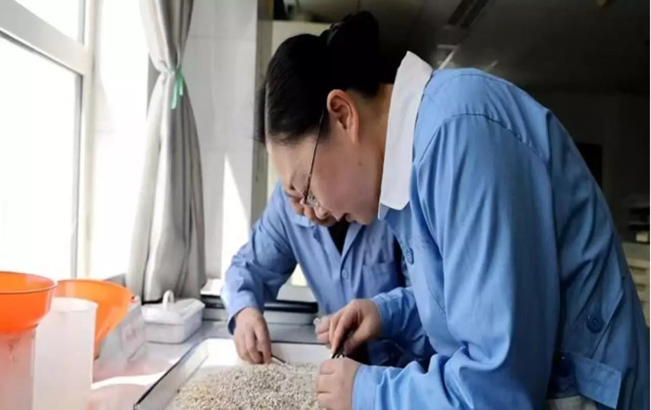 Инфраструктурное обеспечение укрепляет пограничные пункты, создавая новую основу для открытости