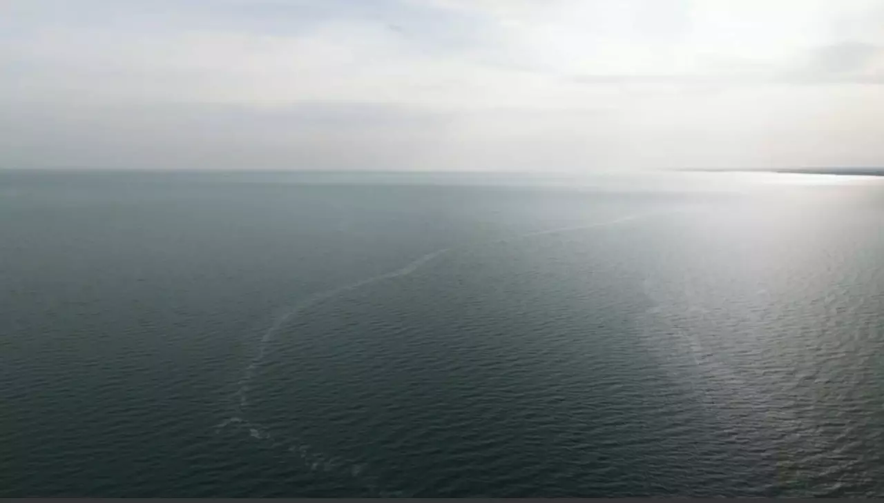 Солтүстік Аралды сақтау жобасы жалғасады