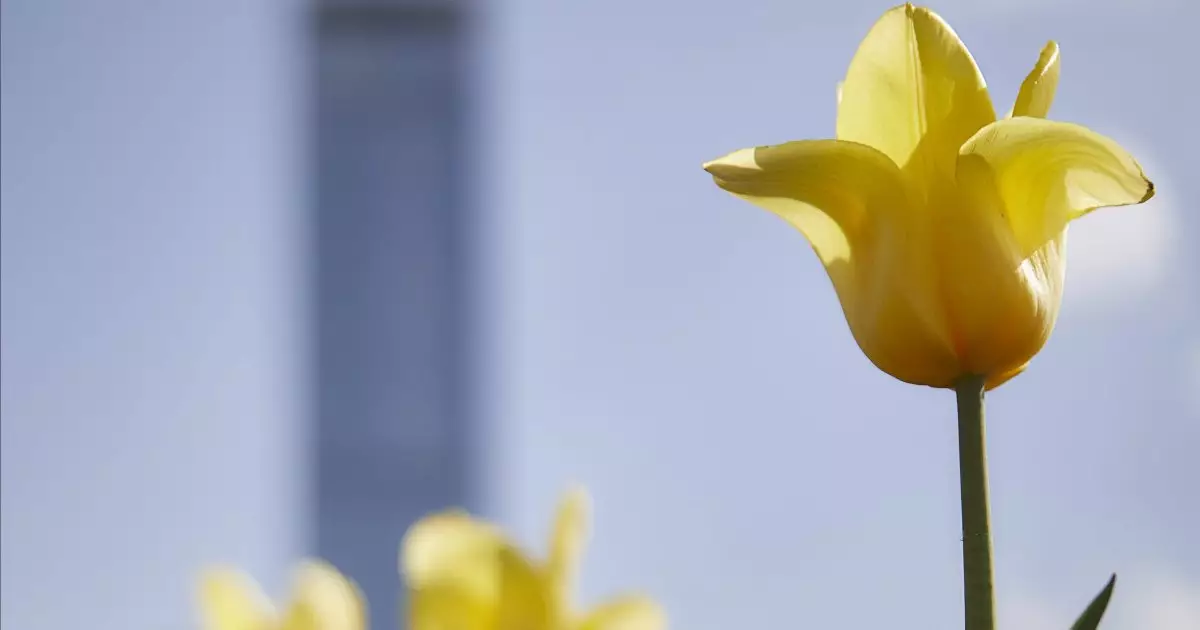 Когда в Казахстан придет настоящее тепло: прогноз синоптиков.