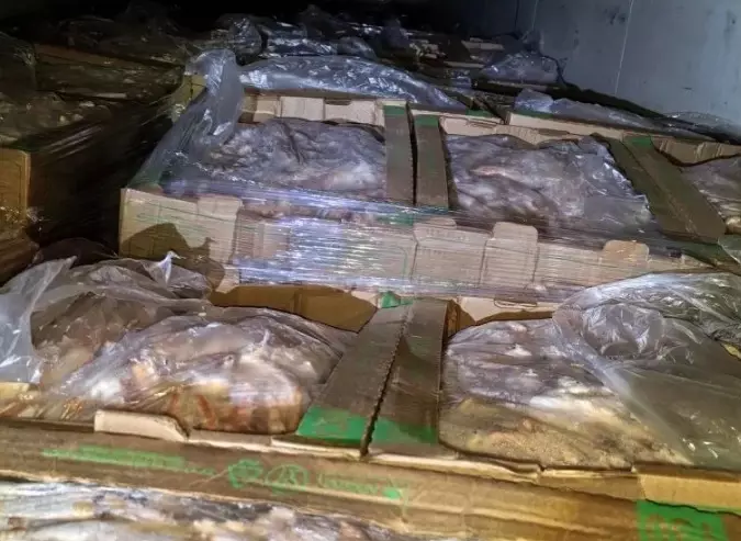 В Оренбуржье пресекли попытку незаконного ввоза 17 тонн куриных лап из Казахстана.