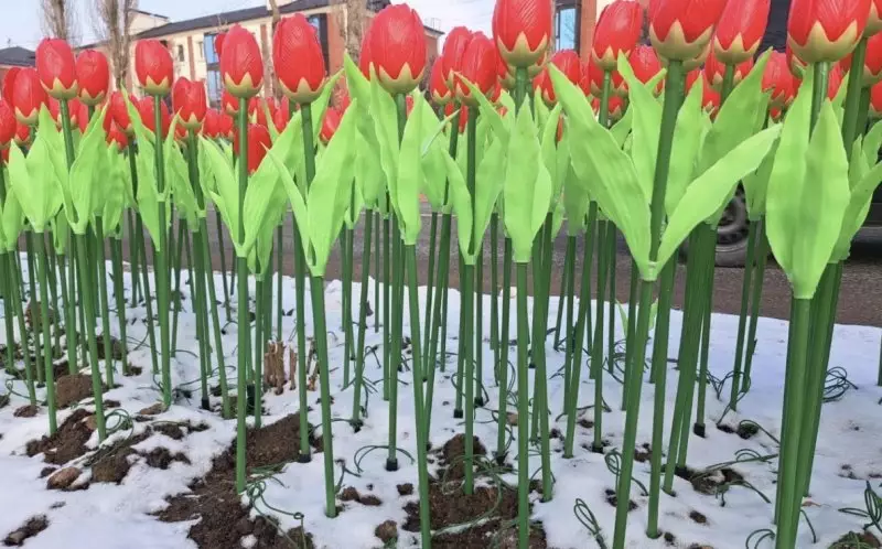 Пластиковый цветник: на улицах Тараза появились искусственные тюльпаны