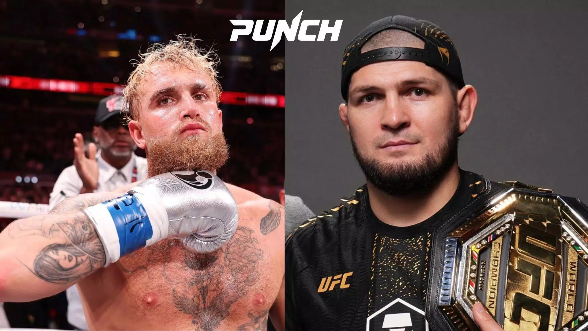 Трамп предложил провести бой Хабиба и Джейка Пола