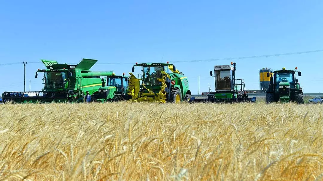 7 жылда Қазақстандағы ауыл шаруашылығы өндірісінің көлемі екі есеге жуық артты