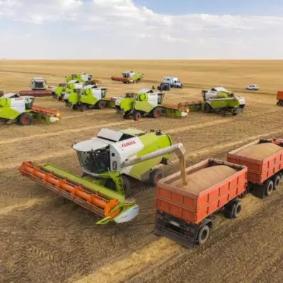 На 60% вырос экспорт зерна и муки из Казахстана в прошлом году