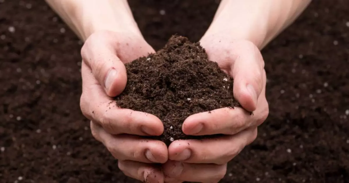 ҚР жер қойнауын пайдаланушылардың сатып алуларындағы жергілікті қамту үлесі 65%-ға жетті 