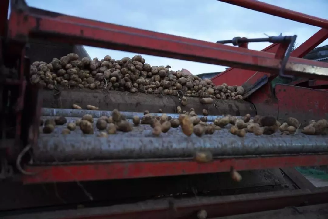 Валовый выпуск сельского хозяйства Казахстана за семь лет вырос почти вдвое