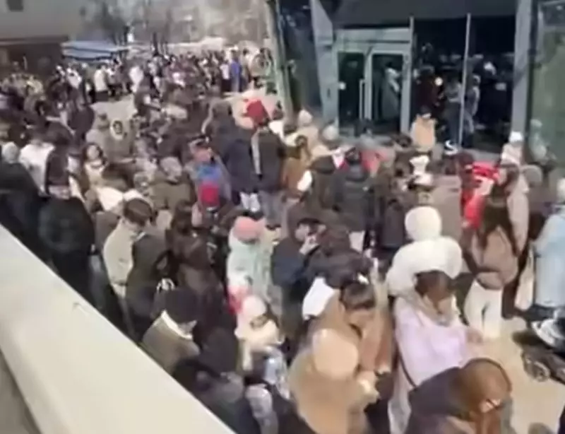 Алматинцы штурмуют Кок-Тобе из-за бесплатного подъёма