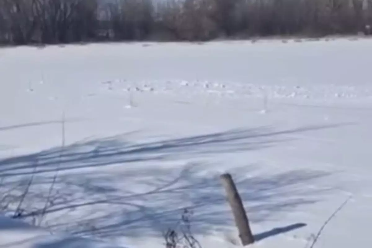 Оралда мұз жару жұмысына бөлінген ақша қайда кеткені белгісіз