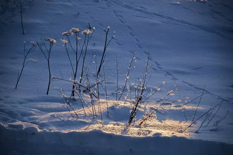 Снег и дождь: какой будет погода в Казахстане 15 марта