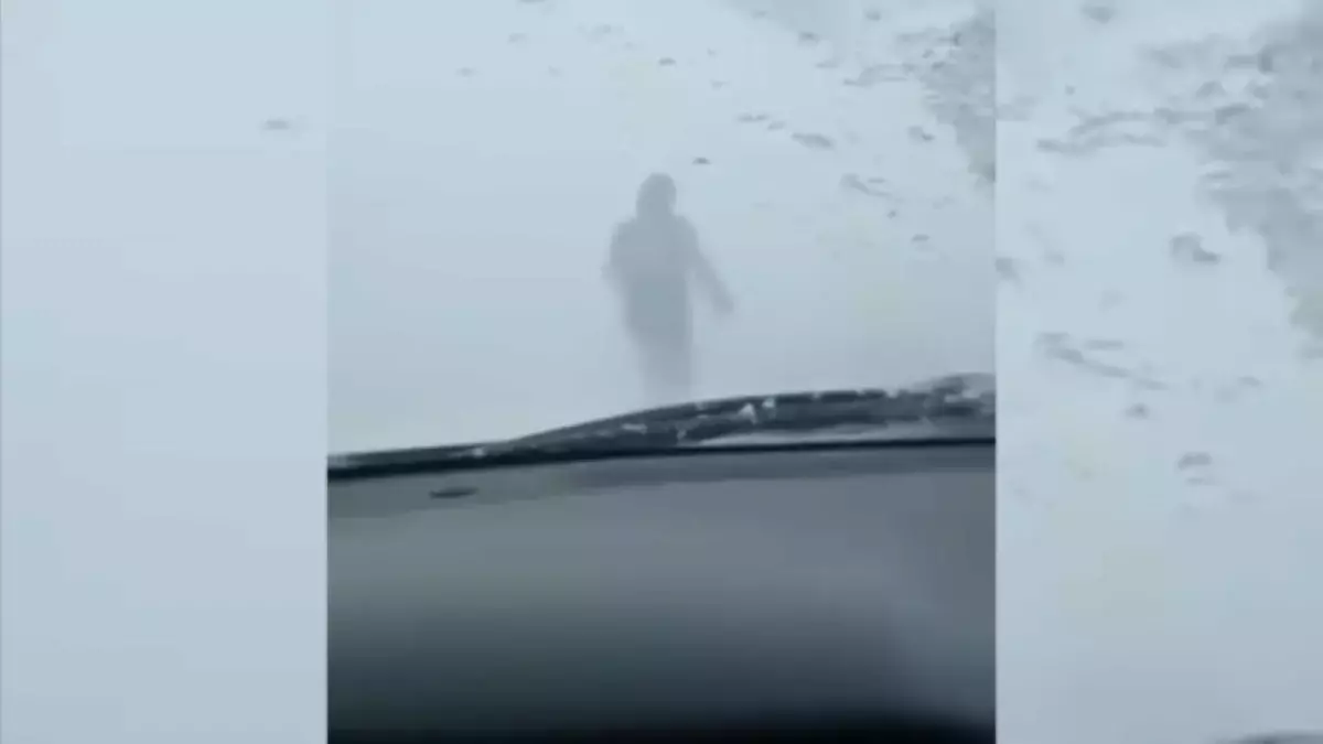 Учительница в одиночку вывела автоколонну из бурана на трассе в Павлодарской области