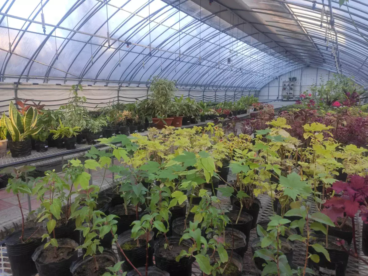 Казахстанские ученые разработали метод выявления опасных патогенов у растений