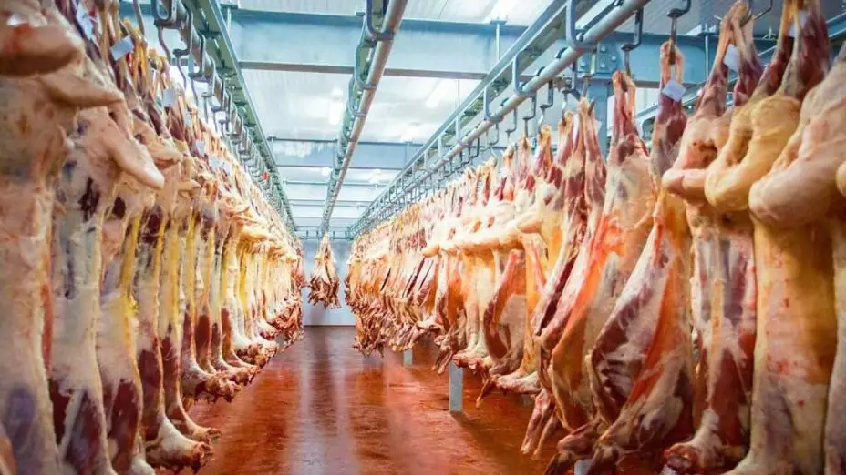 Казахстан экспортировал 7 тонн баранины в ОАЭ за неделю 