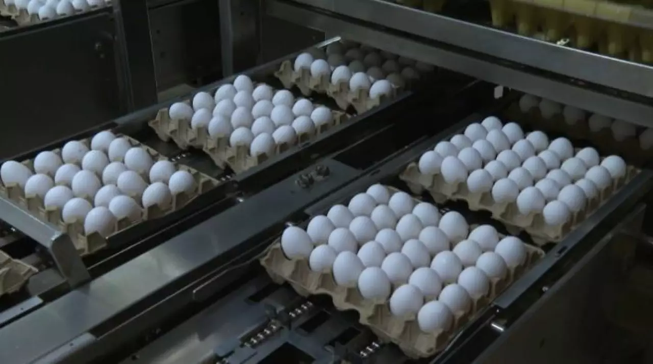 Казахстан вводит запрет на импорт яиц